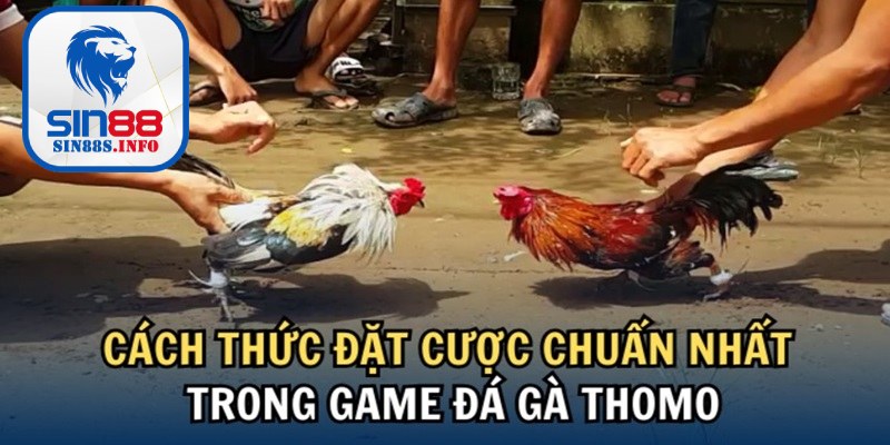 Đăng ký tham gia trường đá gà