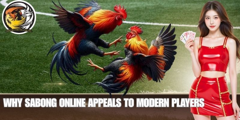 Why Sabong Online Appeals to Modern Players